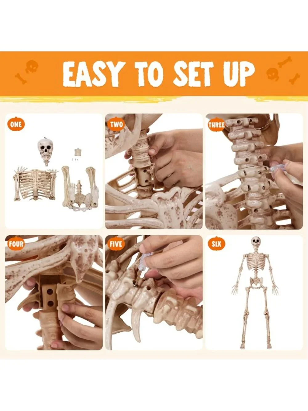 5.6 FT Life Size Posable Skeleton - Realistic Bones, Movable Joints, Halloween